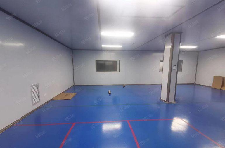 塘厦中心区千级无尘车间8000平，原房东直租可分租，现成装修