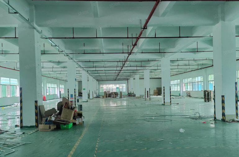 东莞塘厦全新独栋8720，原房东平价13元1000起分租