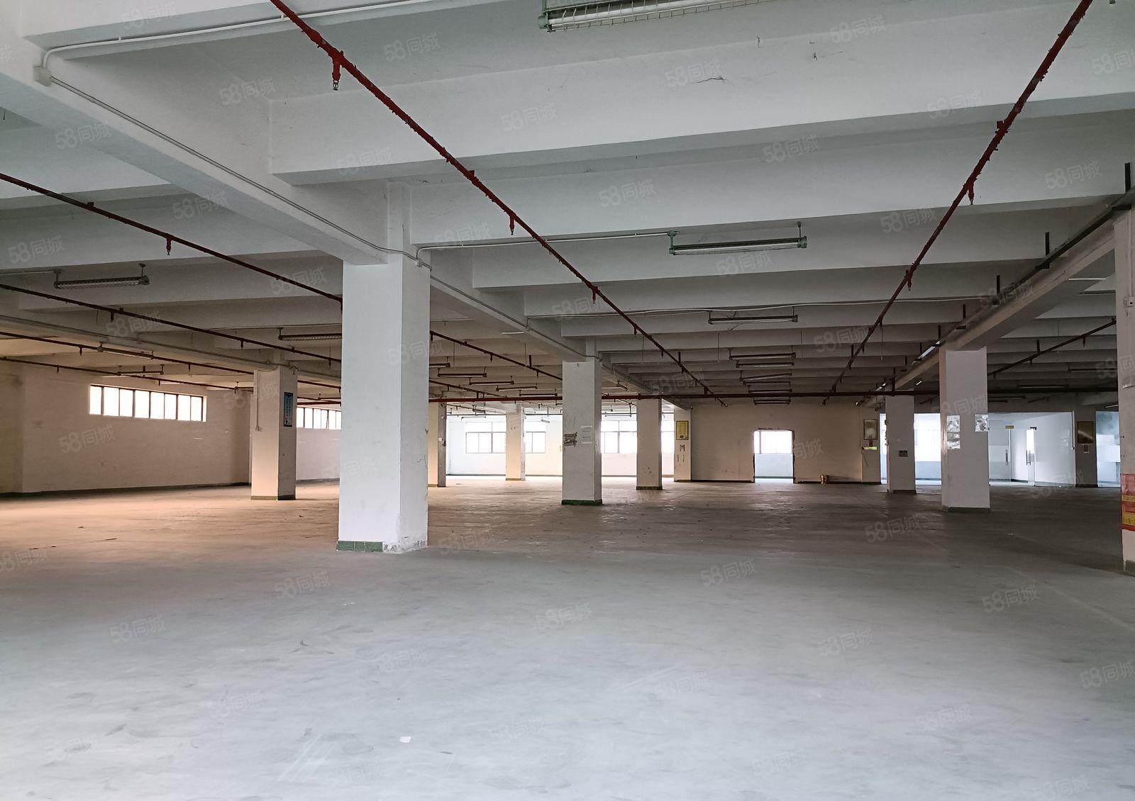 塘厦科苑城新空出楼上三层9000平，园区空地大，高速近