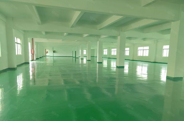 塘厦石鼓大工业区原房东红本厂房出租标准一楼实际面积可办环评