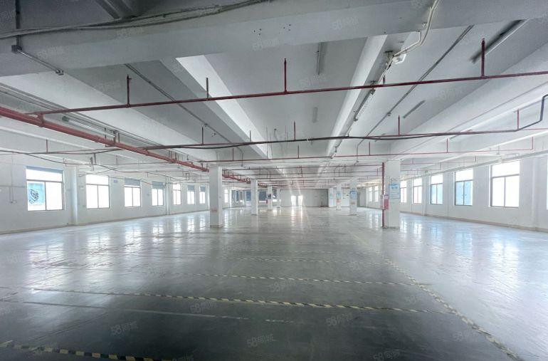 塘厦原房东独院14820平带红本带消防喷淋形象好