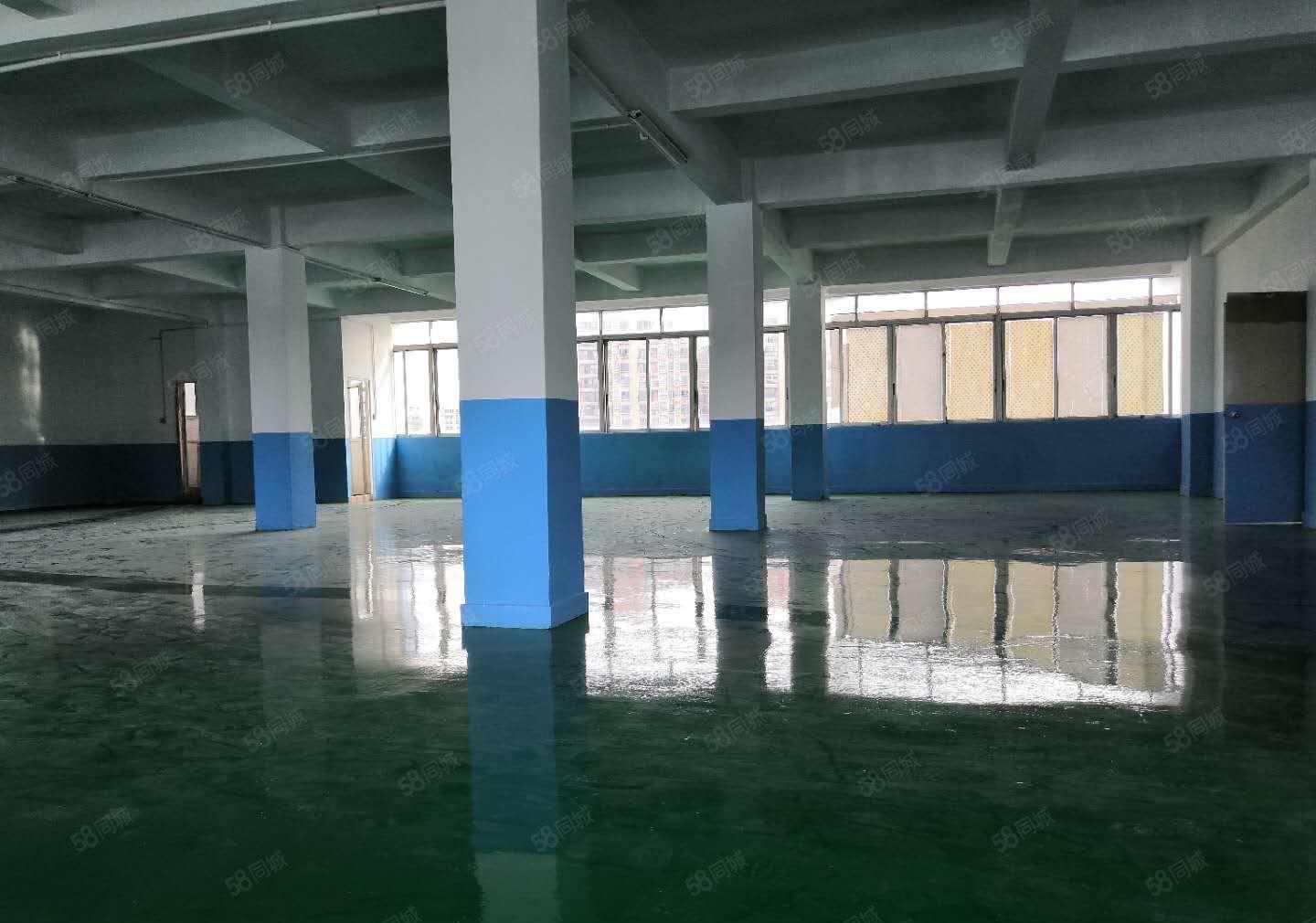 电商.贸易.小加工厂房635平方厂房出租