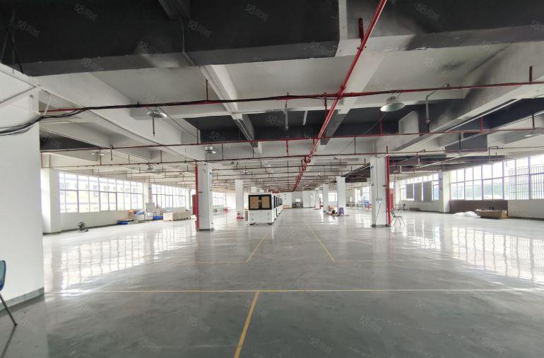 塘厦临深新空楼上2000平厂房，全新地坪漆办公室装修低价出租