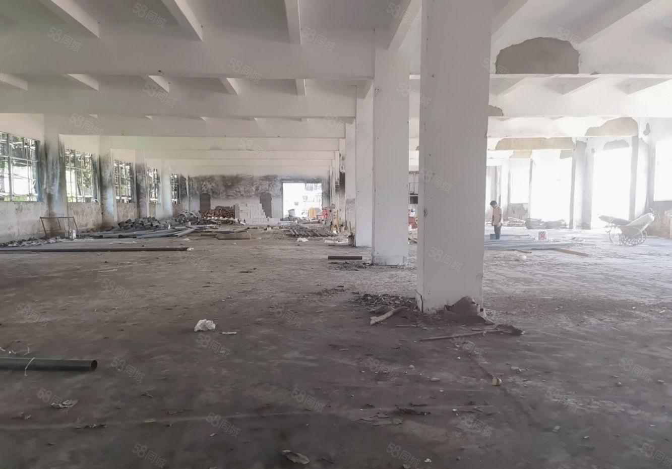 塘厦横塘5300平新建厂房出租一手房东,无公摊现成装修采光好