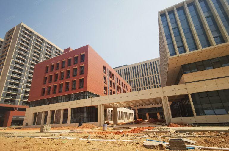 东莞塘厦35万平方红本厂房招商