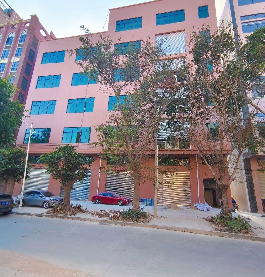 龙背岭原房东全新厂房出租，交通方便，易招工！