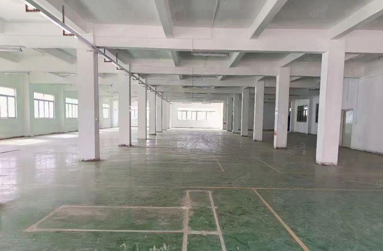电池行业可接！林村广场附近独院出租标准厂房1150平带装修