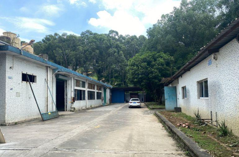 塘厦新出独门独院交通方便可分租