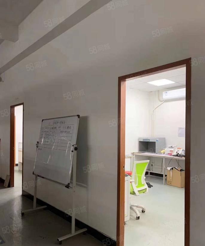 塘厦林村标准独院3300平，易招工，现成装修水电，原房东