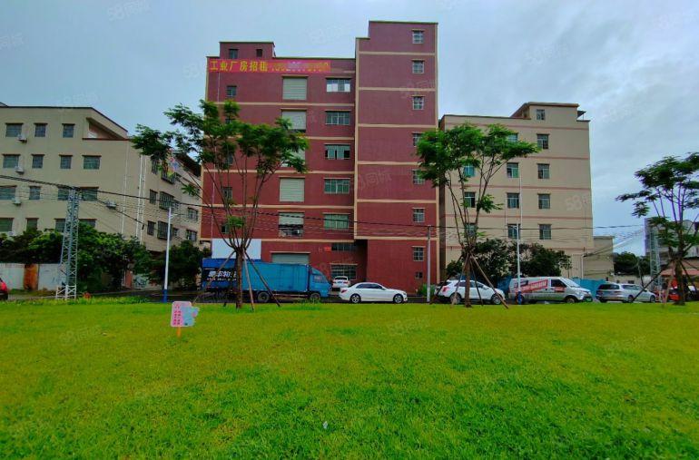 凤凰岗社区花园式厂房靓盘出租厂房500平，四面采光大货梯