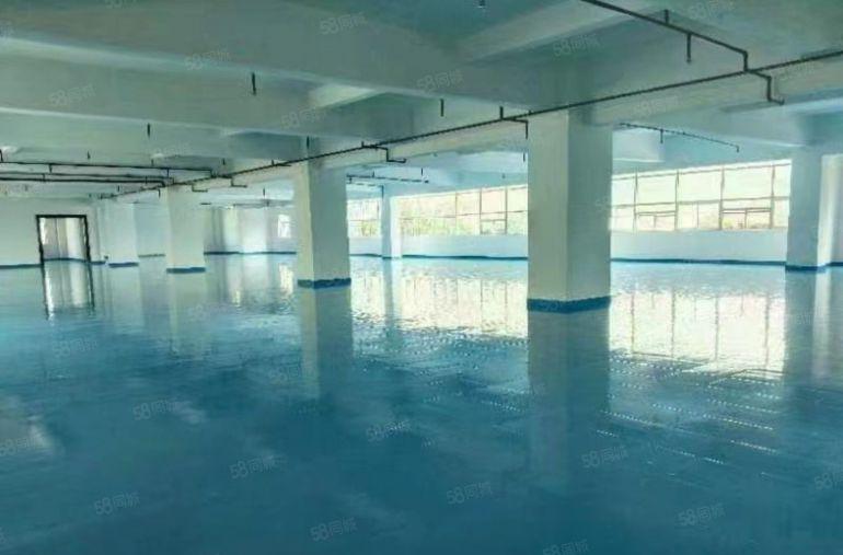 塘厦独门独栋9.9元每平，空地大，交通好！