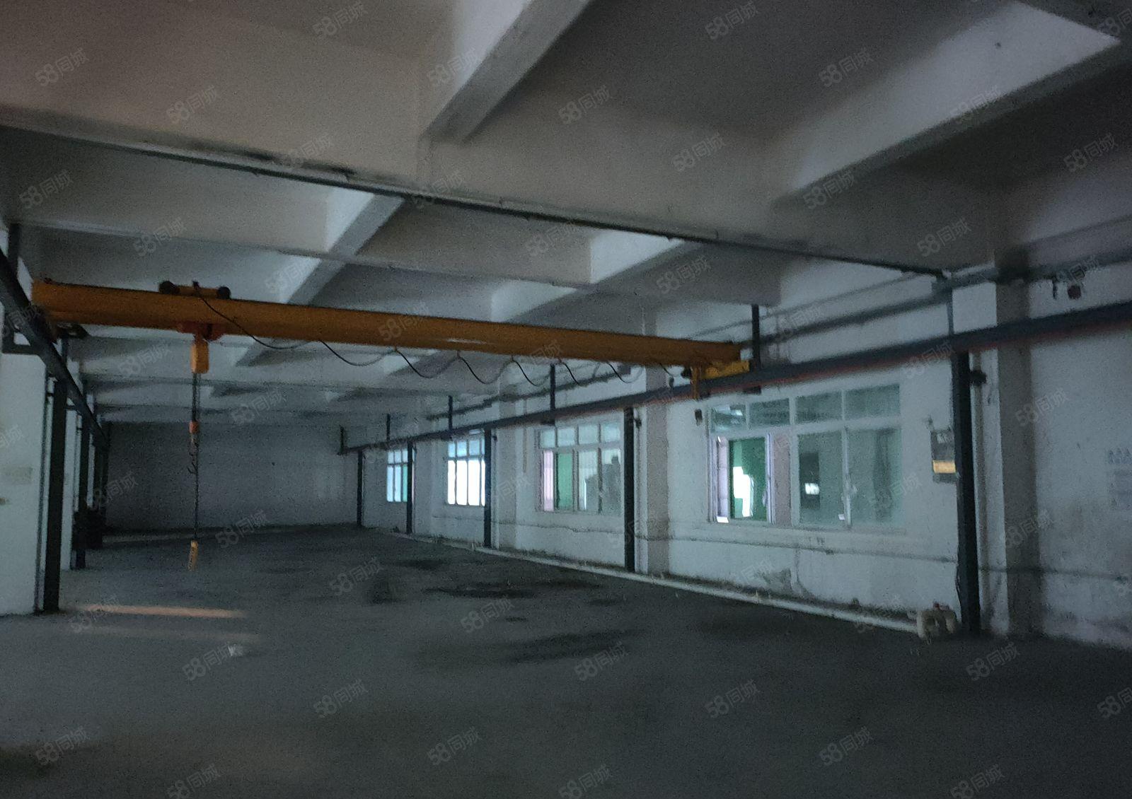 塘厦原房东独院厂房出租