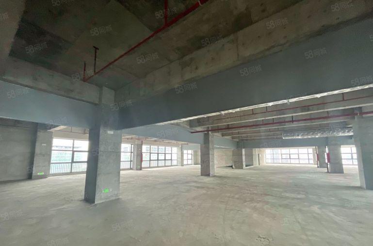 雁田京东智谷 500平至2万平招租 可分租免租长 适合各行业