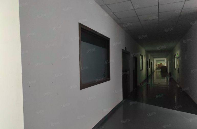 塘厦沙湖精装修楼上标准厂房3300平方出租500平起分租