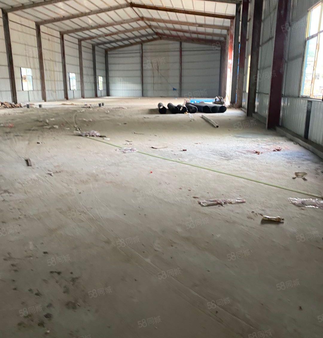 塘厦石马单一层钢构4000平！原房东无公摊