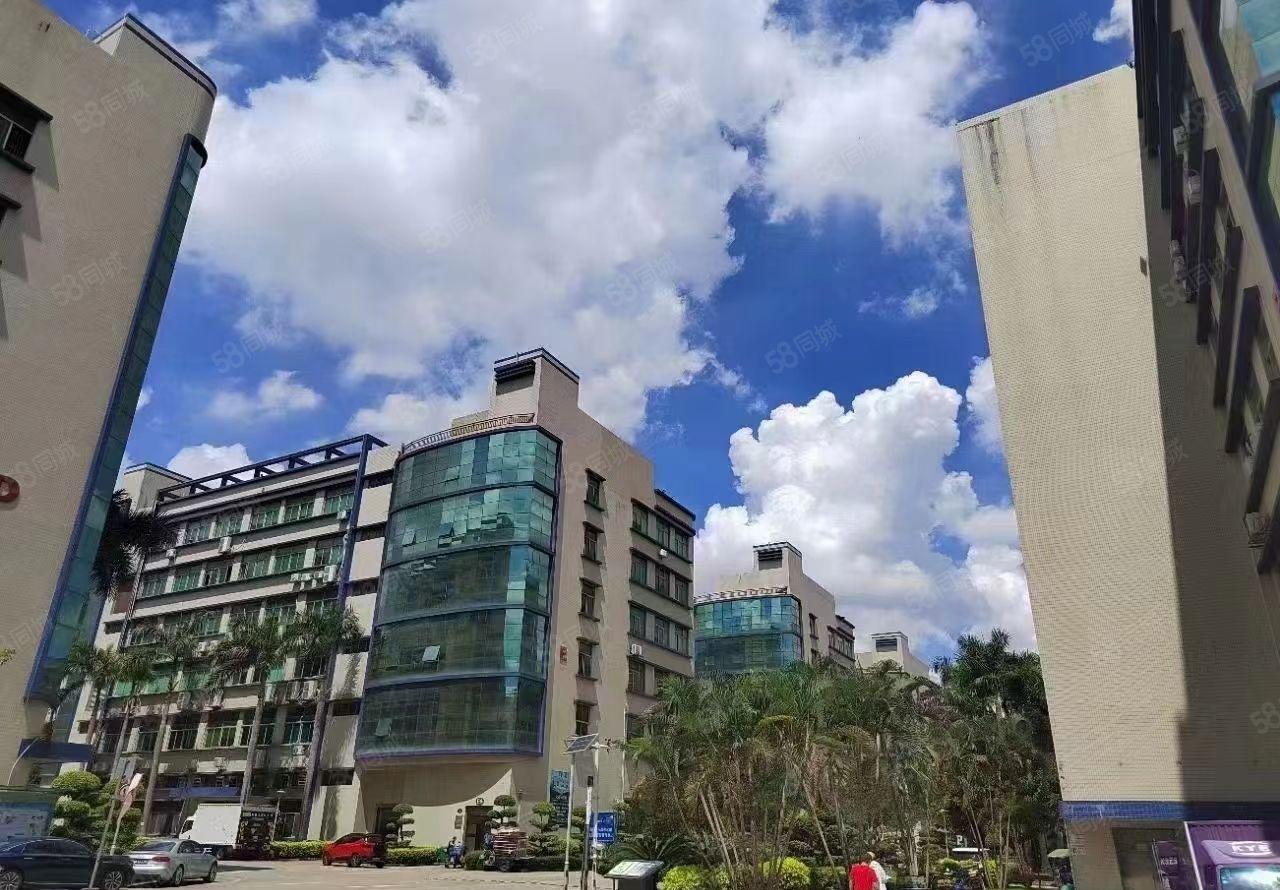 塘厦外环高速口石鼓新出村委楼上3500平带装修厂房仓库出租