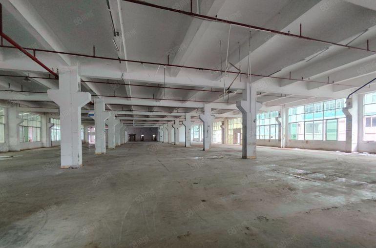 免租期6个月，12元起！塘厦独院10000平厂房电商仓库出租