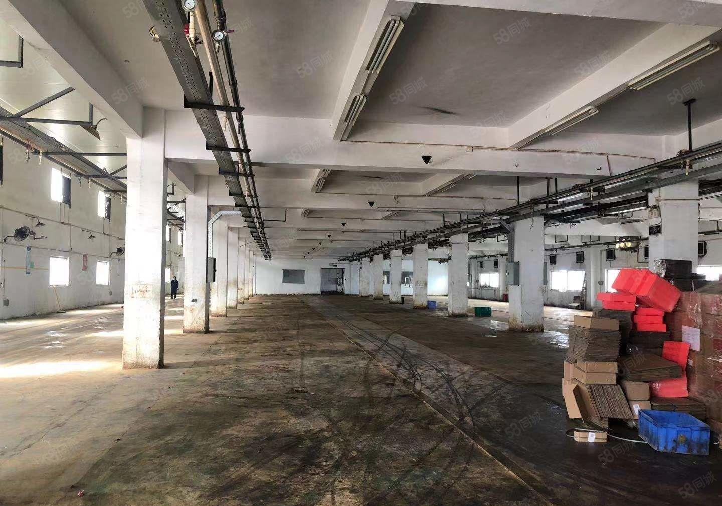 塘厦原房东厂房出租，2楼实积面积是1196.47平方