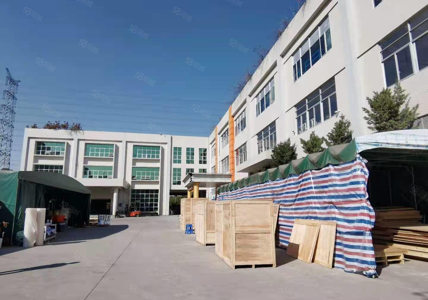 塘厦大坪高速出口原房东独院实际15000平大小分厂房仓库出租