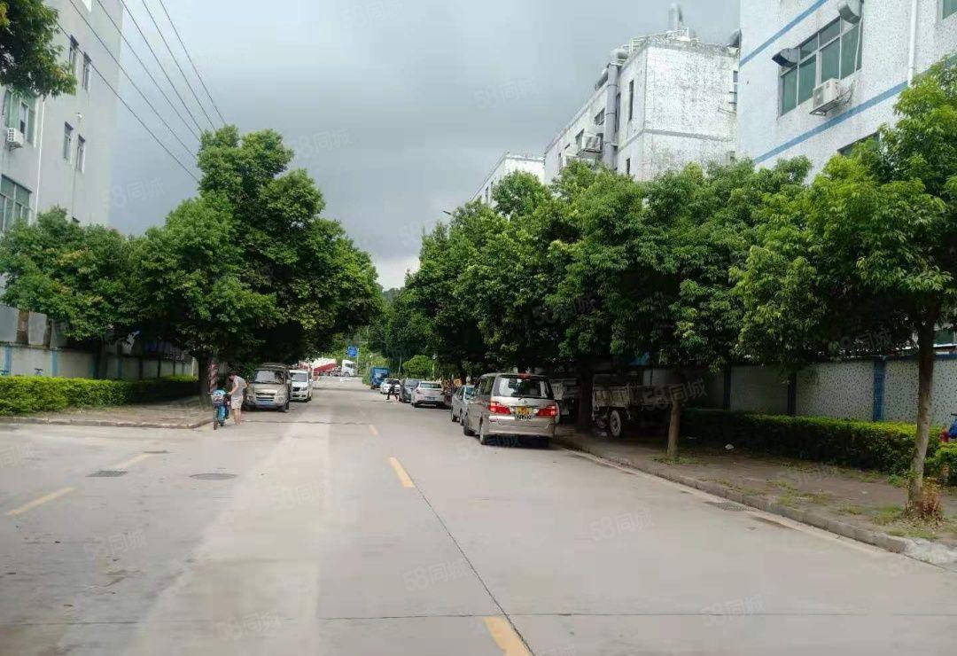 塘厦田心工业区独院一楼1600平带红本标准仓库厂房出租可分租