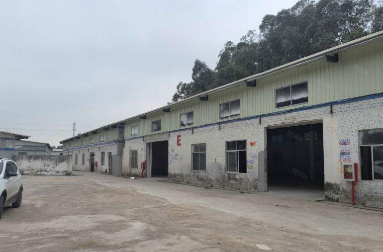 龙背岭单一层厂房出租，500平起分租钢构厂房