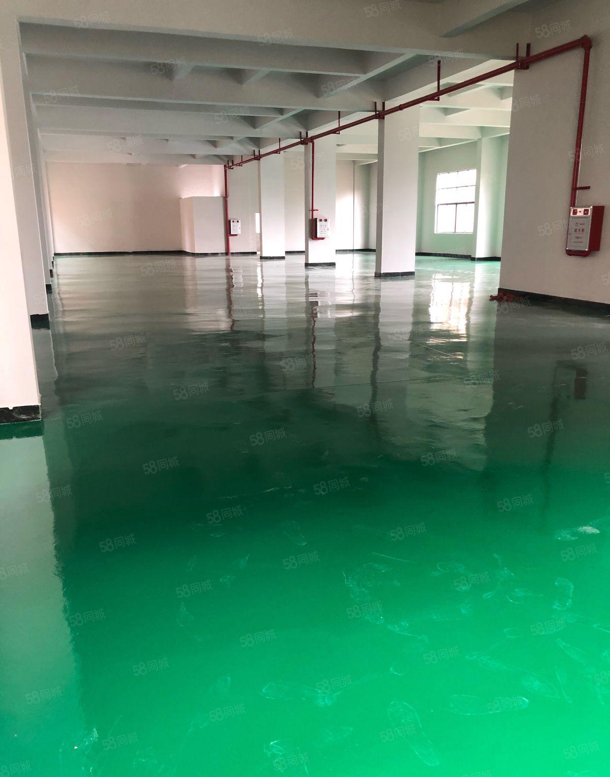 塘厦石马原房东楼上1000平万