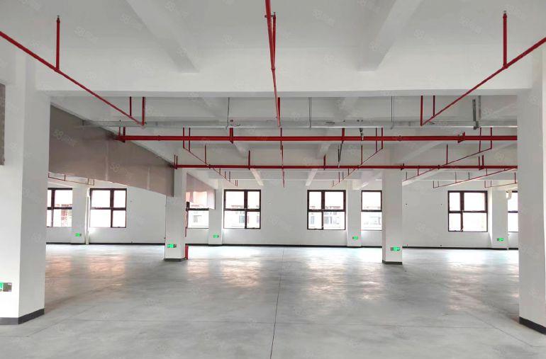 全新厂房出租，环境好配套全，业主直租可办环评，随时入驻