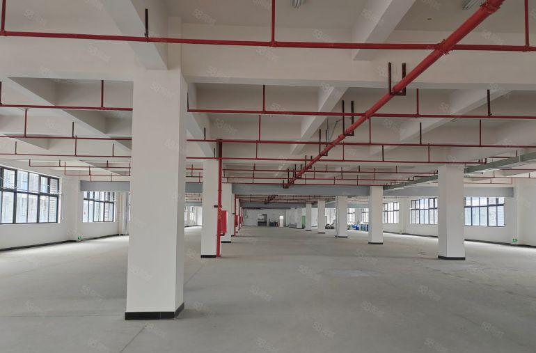 红本双证标准厂房出租 工业用地 可办环评，园区空地大。