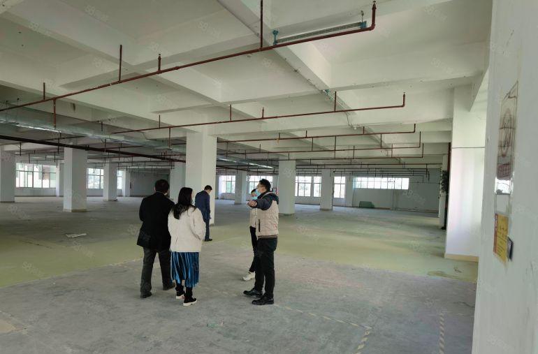 塘厦大坪工业区1000平方红本厂房出租精装修带消费喷淋可分租