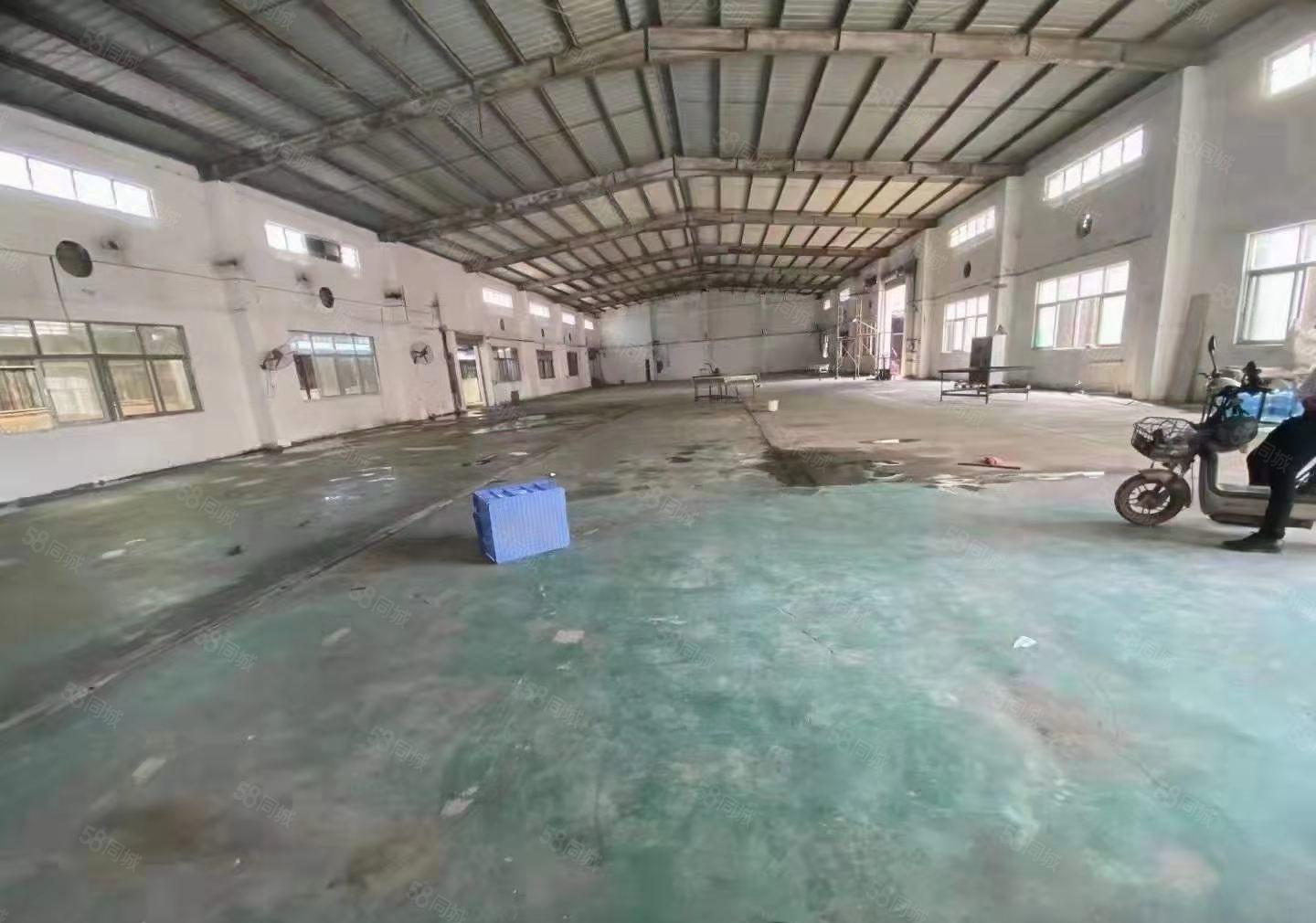 塘厦新出原房东独院钢构单层厂房 合同可签五年 看上面谈