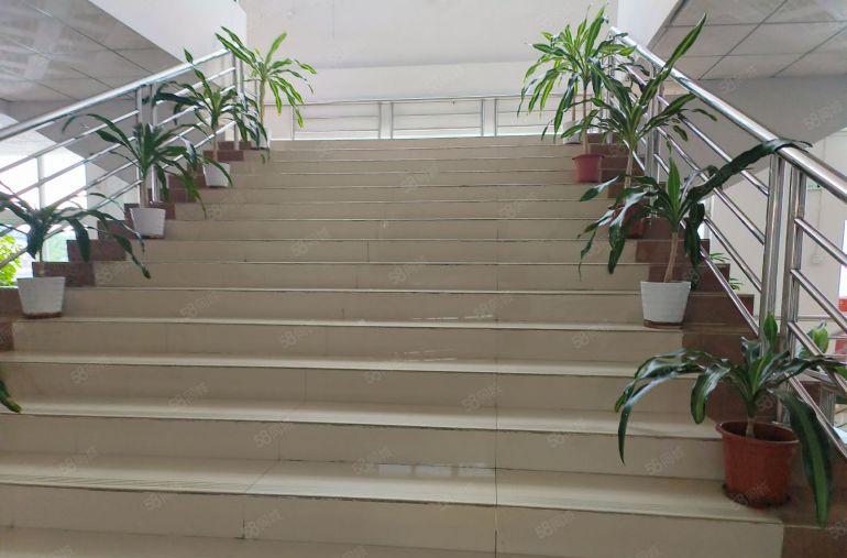 0公摊塘厦林村独院7500平厂房原房出租电商仓库出租