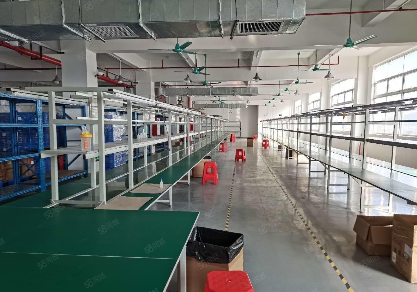 塘厦莲湖独院标准3楼800平方，电子车间小面积厂房出租便宜租