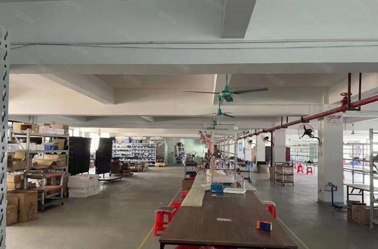大坪高速口花园式厂房招租整层1500平可分租带装修消防喷淋