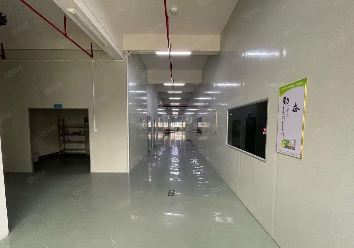 现成流水线 塘厦科苑城高新产业园楼上厂房出租2900平