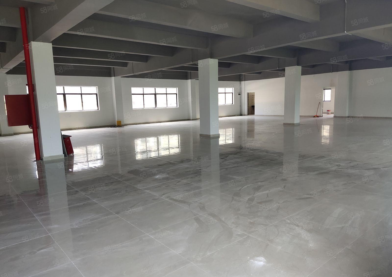 2百平起可出租，塘厦田心工业区独院1500平红本仓库厂房出租