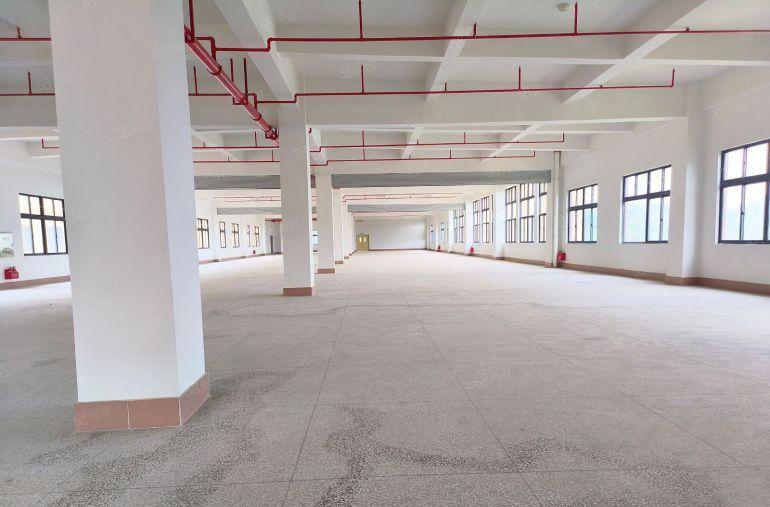 塘厦镇原房东独栋厂房出租，带现成无尘车间