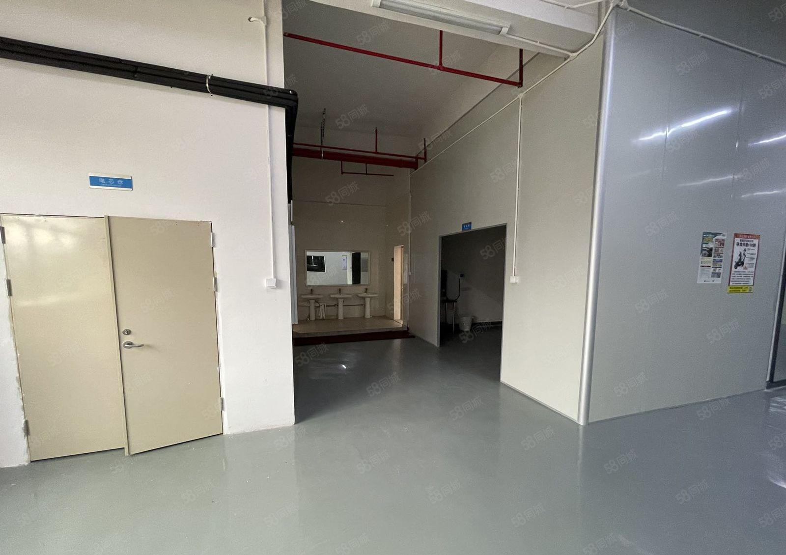 沙湖4楼标准厂房2950平方  货梯俩部俩吨 超大停车场