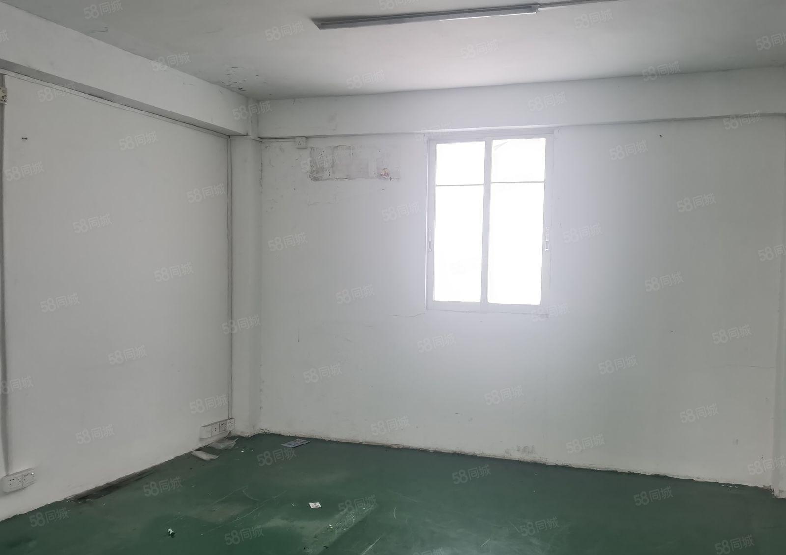 塘厦自带洁净车间 790平 0公滩 拎包即可生产 月租16元