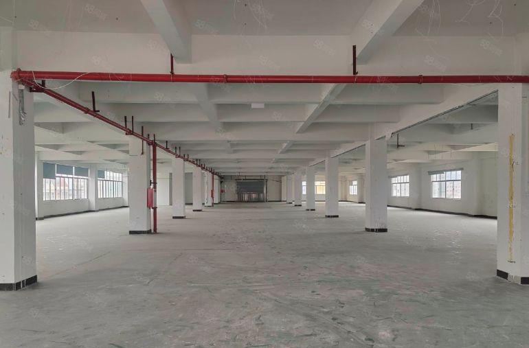 东莞塘厦4楼零公摊实际面积出租整层2000平方米，13平