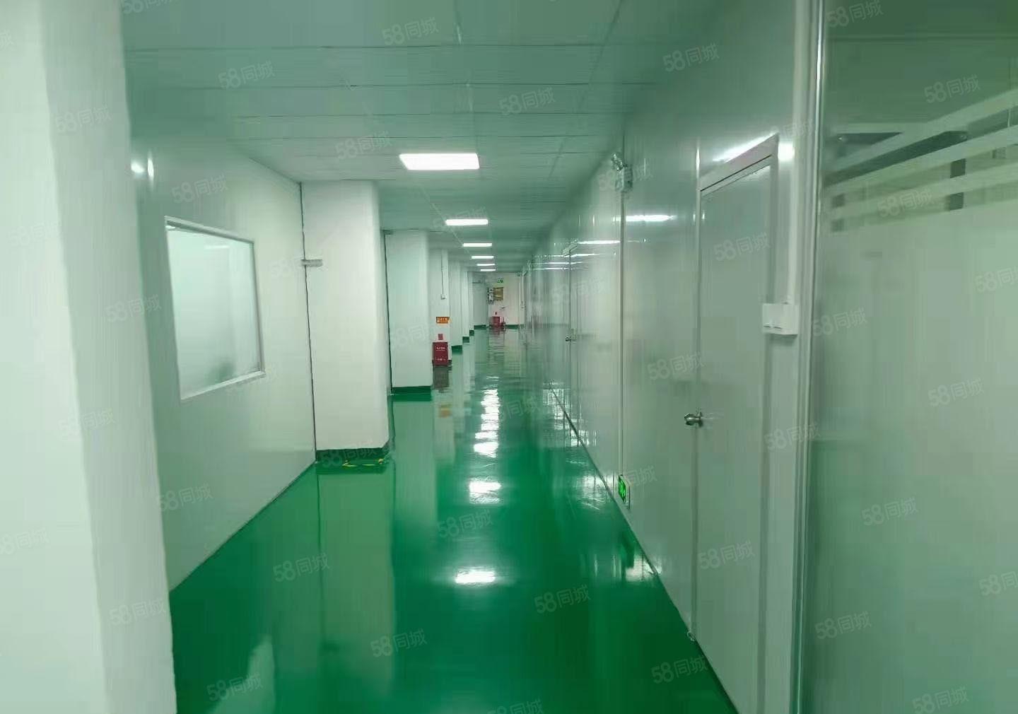 塘厦龙背岭无尘车间1500平厂房出租，无需转让费，！