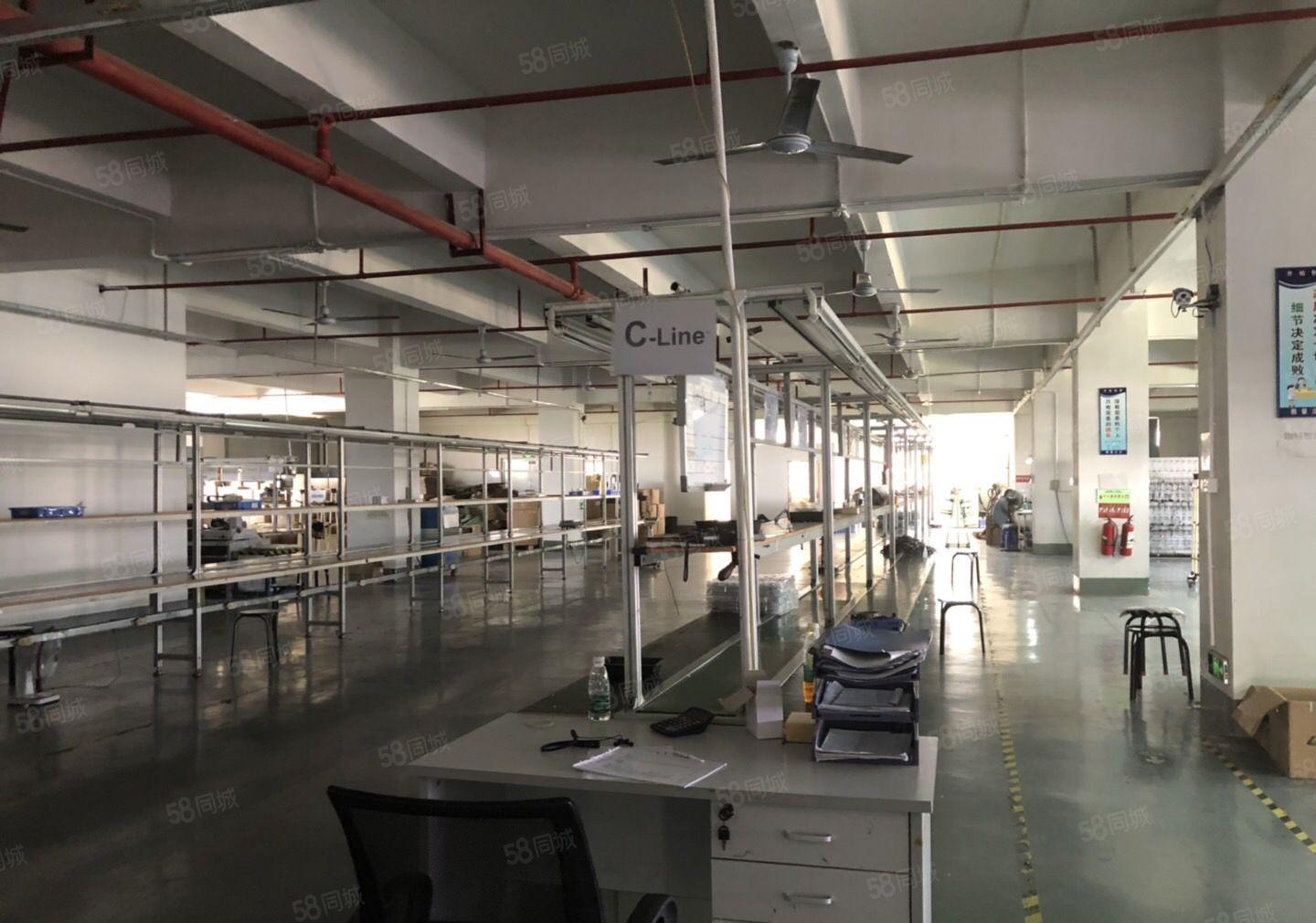 塘厦大坪高速出口大坪原房东楼上1500平带精装修厂房仓库出租