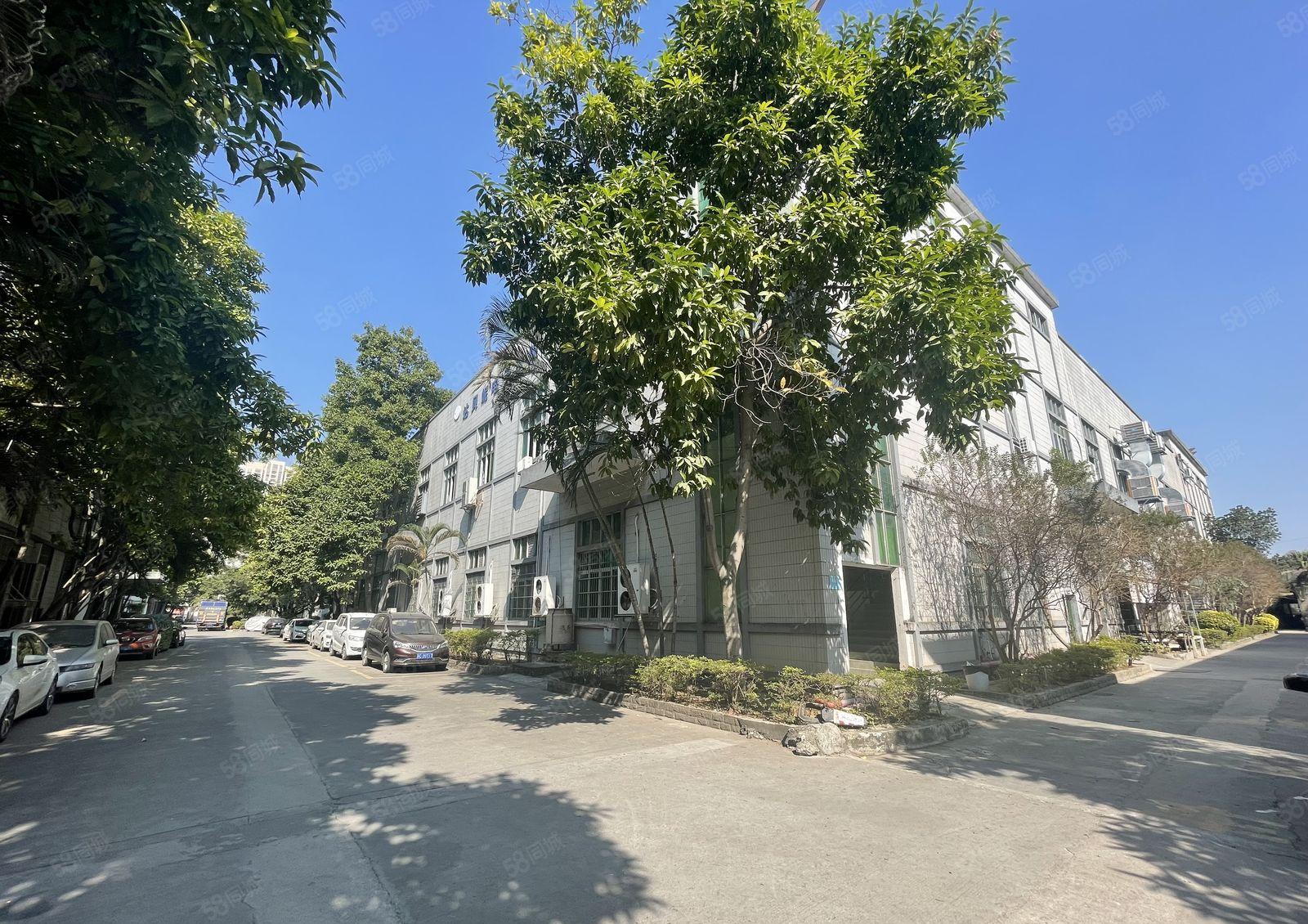 塘厦重型钢构厂房2500平出租，高8米，大型工业园内可进拖车