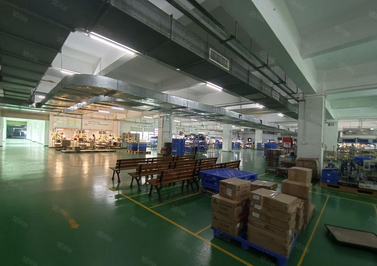 塘厦外环高速口新出独院厂房16500平方原房东直租，可分租！