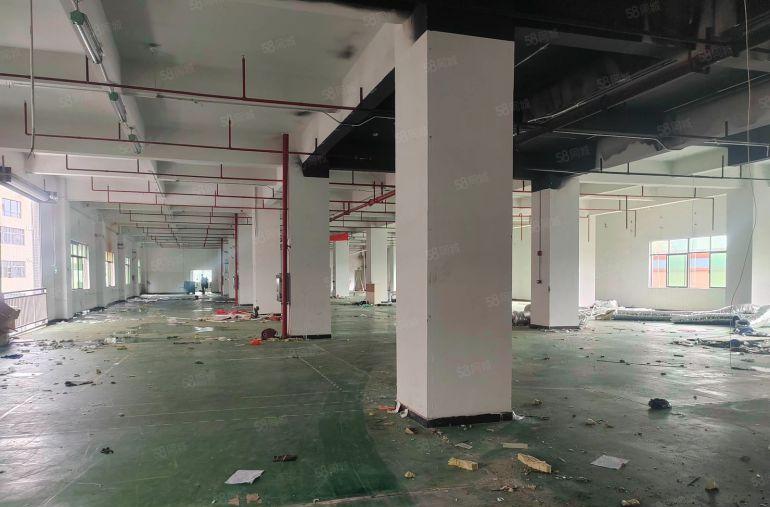 塘厦石马原房东3楼1980平零公摊13元实际面积出租