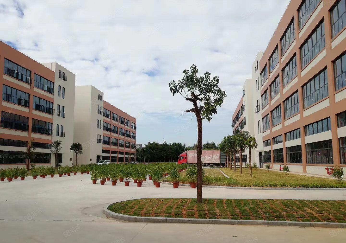 塘厦镇全新独门独院12000平方独门独院高薪企业厂房招租