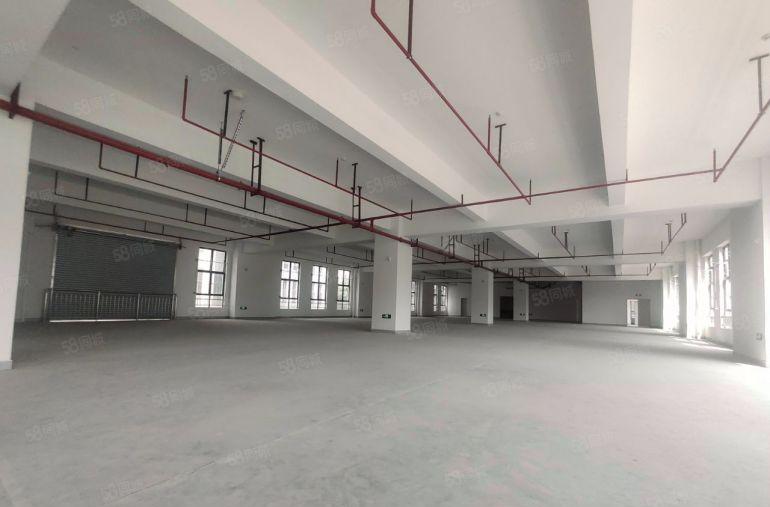 塘厦田心全新厂房1楼1480租27二楼1480租19