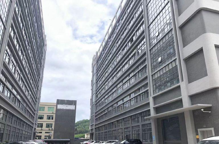 原房东0公摊招租！塘厦科苑城30000平厂房仓库出租，形象好