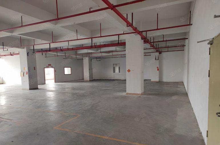 东莞塘厦科苑城300平精装出租适合做仓库电子等