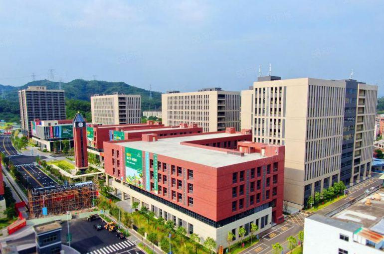 塘厦原房东高端学院派园区35万平大小分租，价格优惠可包装修！