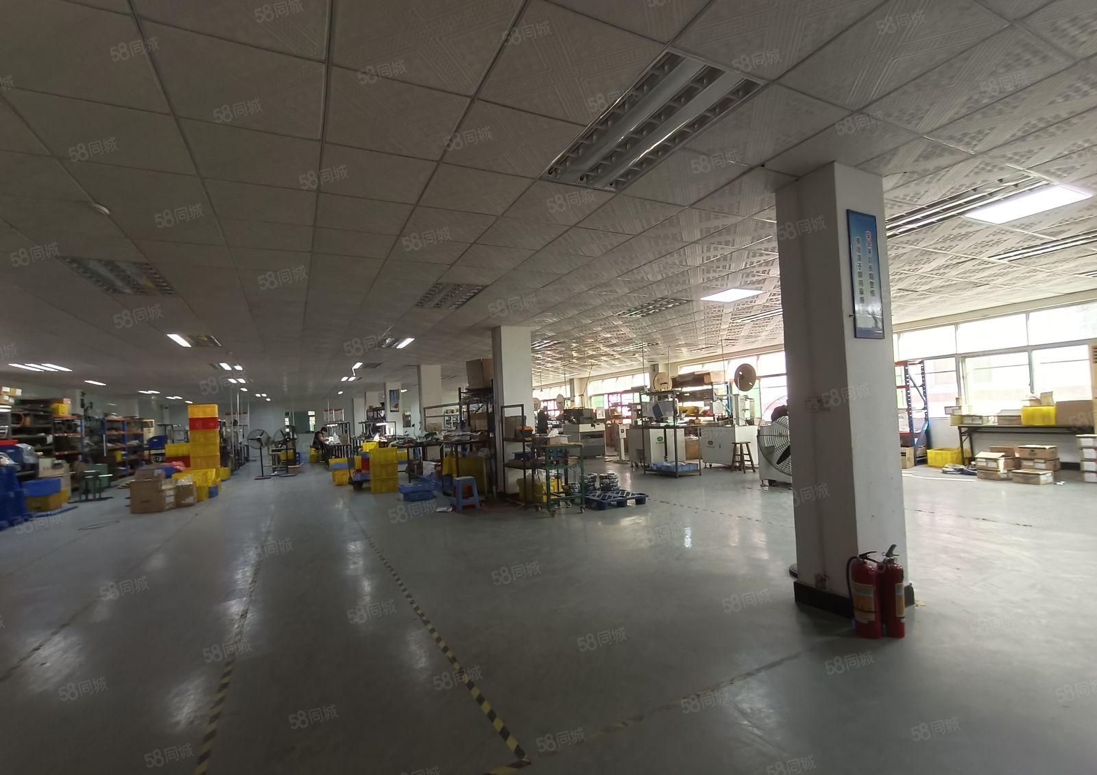 塘厦林村新出楼上1300平带装修，水电齐全，原房东低价甩租！